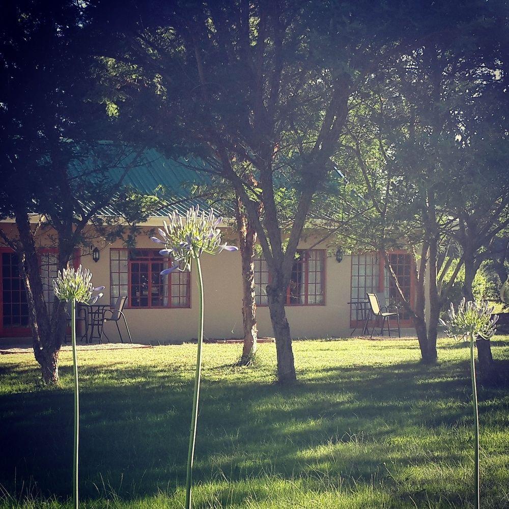 Hopefield Country House 아도 외부 사진